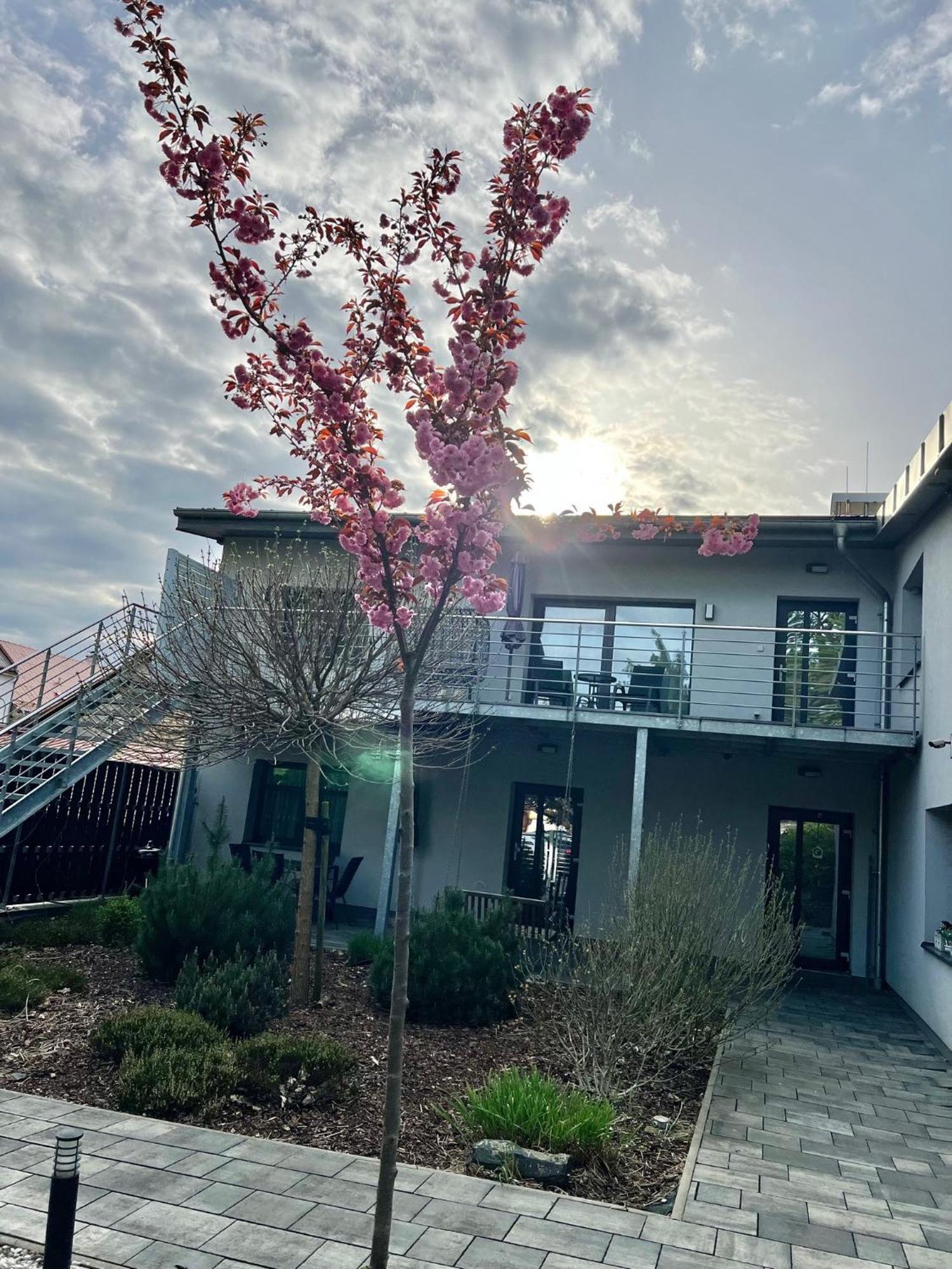 Apartmány Benešov Benesov nad Ploucnici Exterior foto